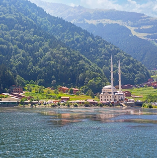 Trabzon Indotur 312x315